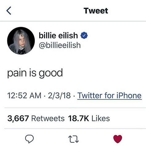 What Did Billie Eilish Do Wrong