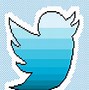 Image result for Twitter Pixel Logo