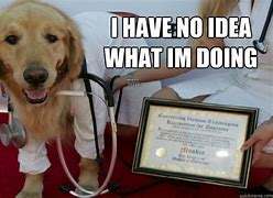Image result for Dog Doctor Meme