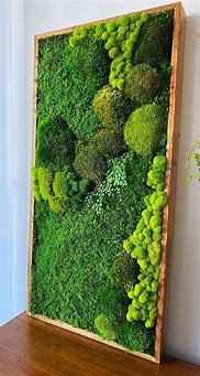 Image result for Moss Wall Art Decor