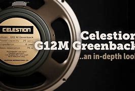 Image result for Celestion Greenback Moldy
