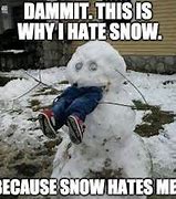 Image result for No More Snow Meme