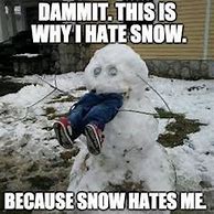 Image result for Snow Insurance Meme