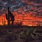 Image result for Tucson Arizona Sunset