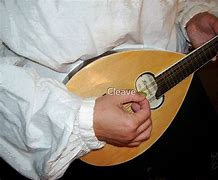 Image result for Mandolin Player