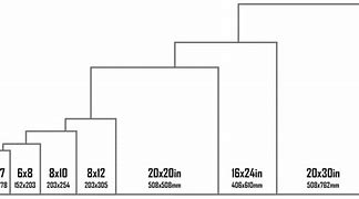 Image result for 5 X 7 Print Scale Size