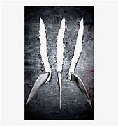Image result for Wolverine Claw Marks
