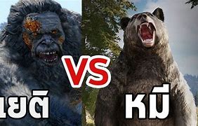 Image result for Yeti vs Bear