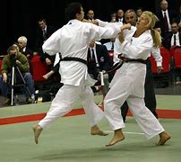 Image result for Bryan's Cross Shotokan Karate