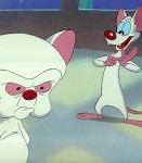 Image result for Pinky and the Brain Bored Meme