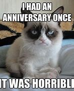 Image result for Cat Anniversary Meme