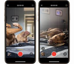 Image result for Apple iPhone 13 Night Mode Camera