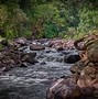 Image result for Maui