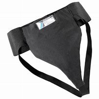 Image result for Men's Pelvic Protector