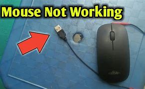 Image result for Why Is My Mouse Not Working