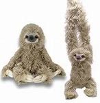 Image result for Sloth Plush Toy