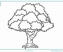 Image result for Arbol Para Colorear