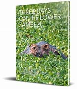 Image result for 47 Days Book Author