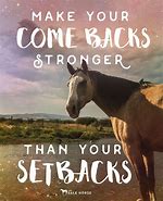 Image result for Endurance Horse Quotes