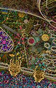 Image result for Cellular Biology Art