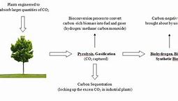 Image result for Fourth Generation Biofuels