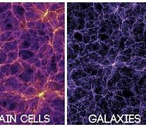 Image result for brain neurons vs universe
