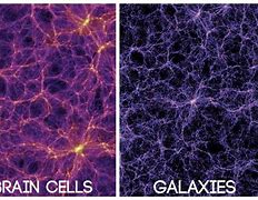 Image result for Galaxies and Neurons