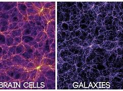 Image result for Brain and Galaxy