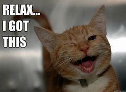 Image result for Relax Cat Meme
