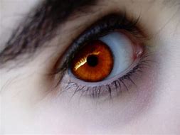 Image result for Orange Eyes Drawing