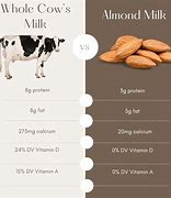 Image result for Almond Milk vs Cow Milk