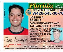 Image result for Current Florida Driver's License