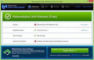 Image result for Malwarebytes Windows 11 Free