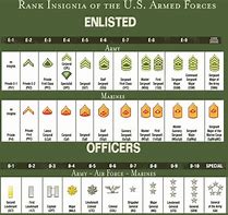 Image result for Army Major Insignia