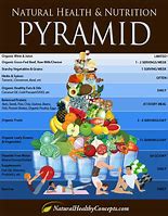Image result for Food Pyramid Labeled