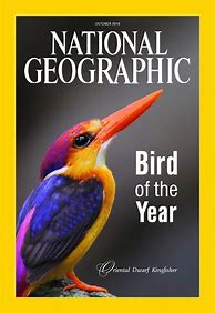 Image result for National Geographic Magazine Covers