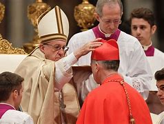 Image result for Pope and Cardinals