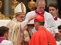Image result for pope and cardinals