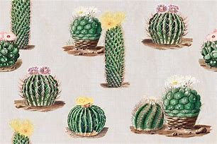 Image result for iPhone 6s Cases Cactus Girly