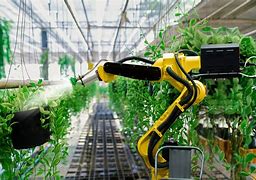 Image result for Automated Farming