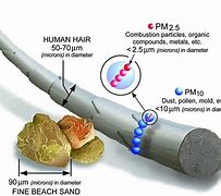 Image result for How Big Is 1 Micron