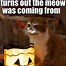 Image result for Monday Halloween Meme