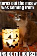 Image result for Happy Halloween Cat Meme