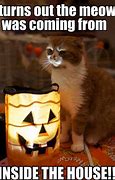 Image result for Halloween Cat Memes