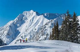 Image result for Alta Utah Snow