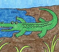 Image result for Drawing of a Alligator