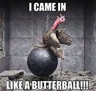 Image result for Chicken and Turkey Meme