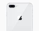 Image result for iPhone 8 Size in Hand