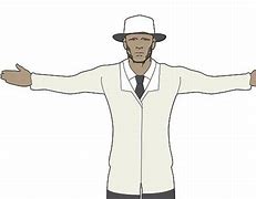 Image result for Arm Guard Cricket Umpire