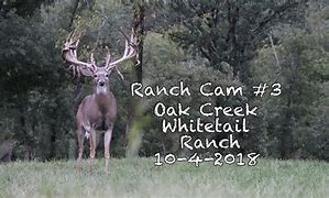 Image result for camqranch�n